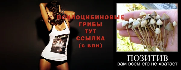 амф Балахна
